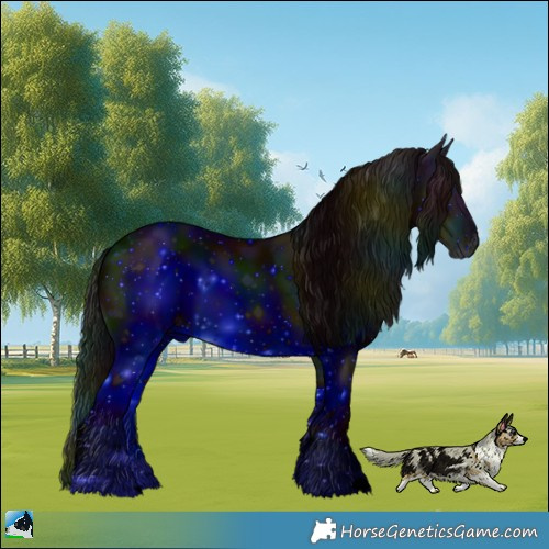 Horse Color:ERROR: UNKNOWN ANOMALY