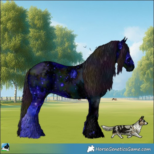 Horse Color:ERROR: UNKNOWN ANOMALY