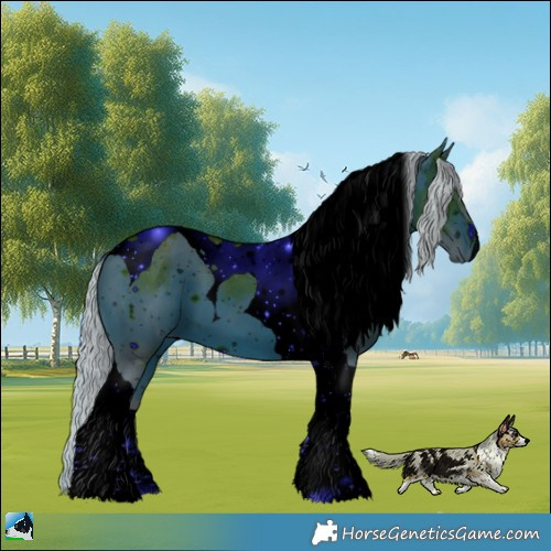 Horse Color:ERROR: UNKNOWN ANOMALY