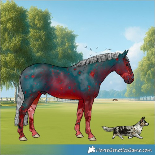 Horse Color:ERROR: UNKNOWN ANOMALY