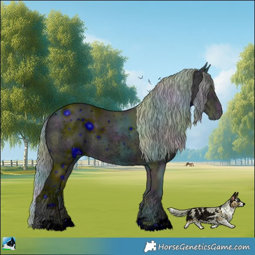 Horse Color:ERROR: UNKNOWN ANOMALY