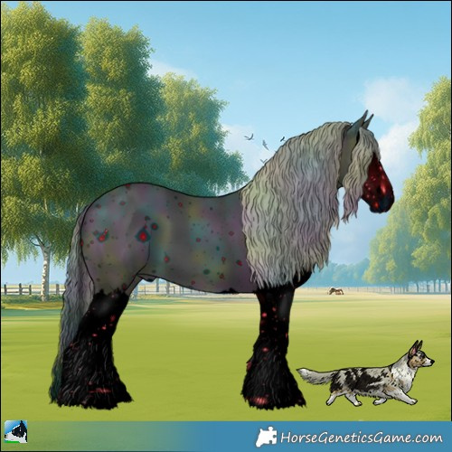 Horse Color:ERROR: UNKNOWN ANOMALY