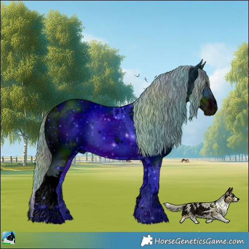 Horse Color:ERROR: UNKNOWN ANOMALY