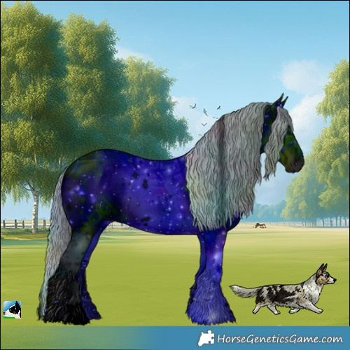 Horse Color:ERROR: UNKNOWN ANOMALY