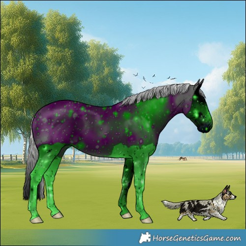 Horse Color:ERROR: UNKNOWN ANOMALY