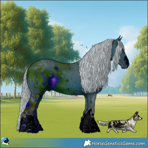 Horse Color:ERROR: UNKNOWN ANOMALY