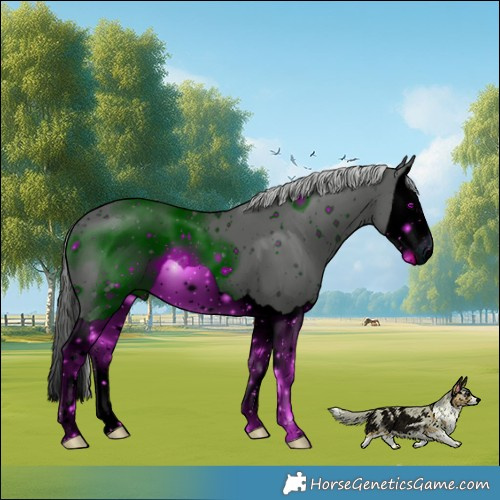 Horse Color:ERROR: UNKNOWN ANOMALY