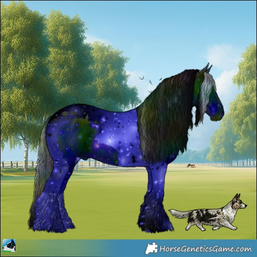 Horse Color:ERROR: UNKNOWN ANOMALY