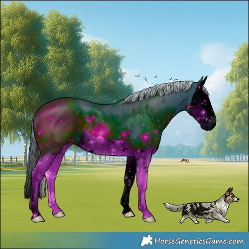 Horse Color:ERROR: UNKNOWN ANOMALY