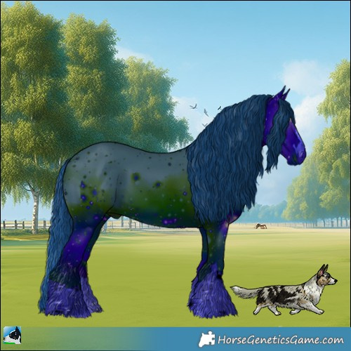 Horse Color:ERROR: UNKNOWN ANOMALY