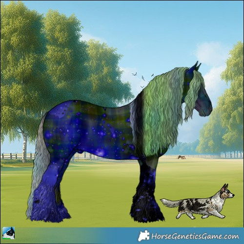 Horse Color:ERROR: UNKNOWN ANOMALY