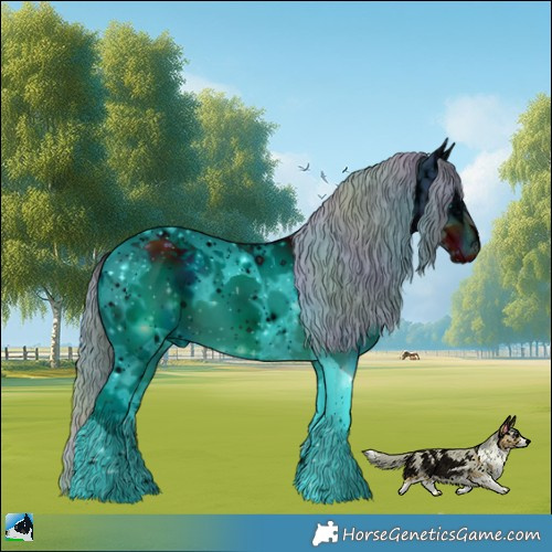 Horse Color:ERROR: UNKNOWN ANOMALY