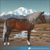 Horse Color:Silver Brown Tobiano
