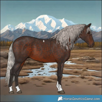 Horse Color:Silver Brown Tobiano