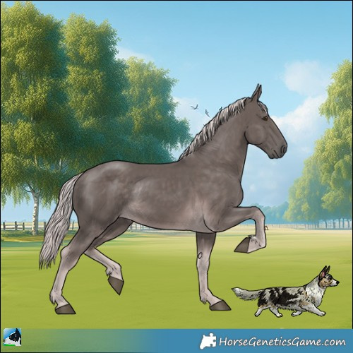 Horse Color:Platinum Chocolate Palomino Rabicano 