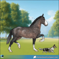 Horse Color:Platinum Brown Rabicano 