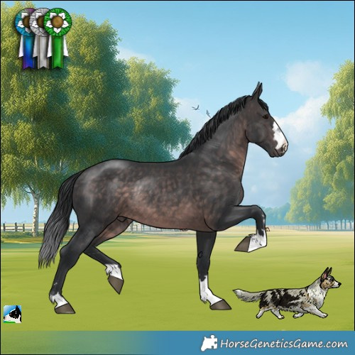 Horse Color:Platinum Brown Rabicano 
