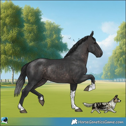 Horse Color:Platinum Brown Tobiano 