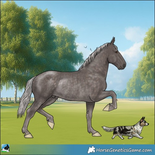 Horse Color:Platinum Chocolate Palomino Rabicano 