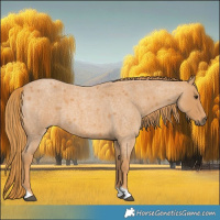 Horse Color:Red Roan Tobiano