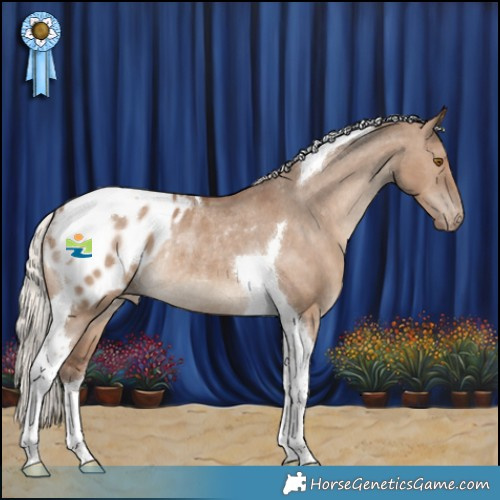Horse Color:Silver Grullo Tobiano Appaloosa Rabicano 