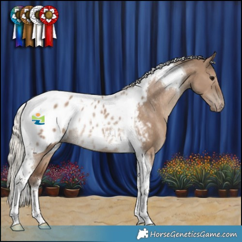 Horse Color:Silver Grullo Tobiano Blanket Rabicano 