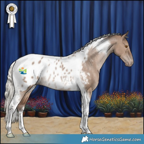 Horse Color:Silver Grullo Tobiano Appaloosa Rabicano 