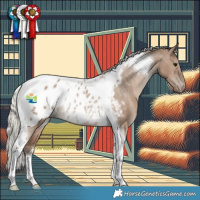 Horse Color:Silver Grullo Tobiano Appaloosa Rabicano 