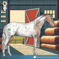 Horse Color:Silver Grullo Tobiano Appaloosa Rabicano 