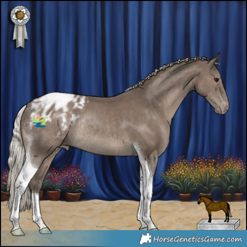 Horse Color:Silver Black Tobiano Blanket Rabicano 