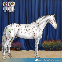 Horse Color:White Spotted Silver Brown Appaloosa Rabicano 