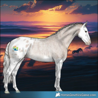 Horse Color:Silver Grullo Roan Splash Appaloosa Rabicano 