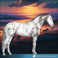 Horse Color:White Spotted Grullo Splash Appaloosa 