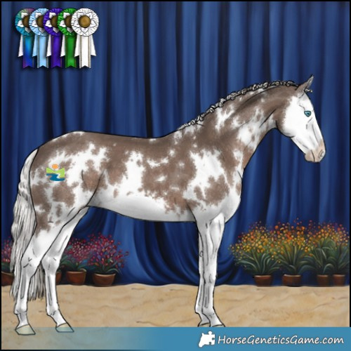 Horse Color:White Spotted Silver Black Splash 