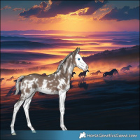 Horse Color:White Spotted Silver Black Splash 
