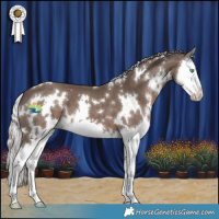 Horse Color:White Spotted Silver Black Splash 