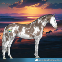 Horse Color:White Spotted Silver Black Splash