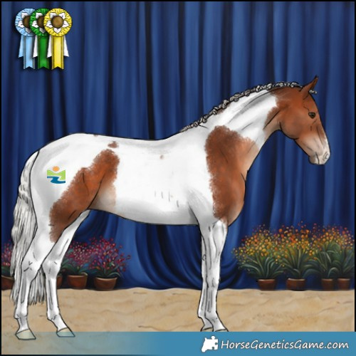 Horse Color:Silver Brown Tobiano 