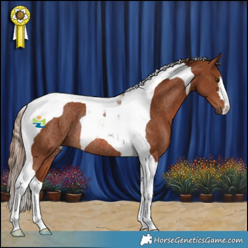 Horse Color:Chestnut Tobiano Rabicano 
