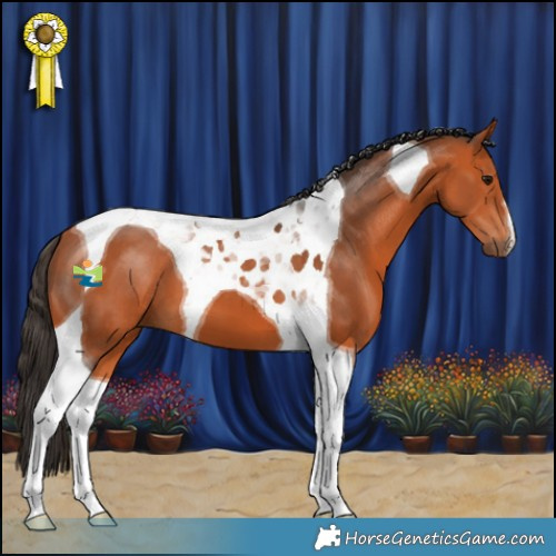 Horse Color:Bay Tobiano 