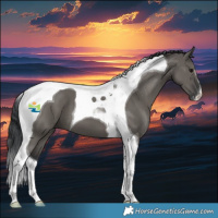 Horse Color:Grullo Tobiano 