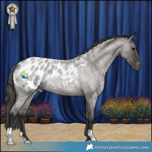 Horse Color:Grullo Roan Appaloosa Rabicano 