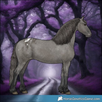 Horse Color:Grullo Appaloosa 