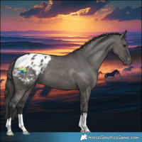 Horse Color:Grullo Varnish 