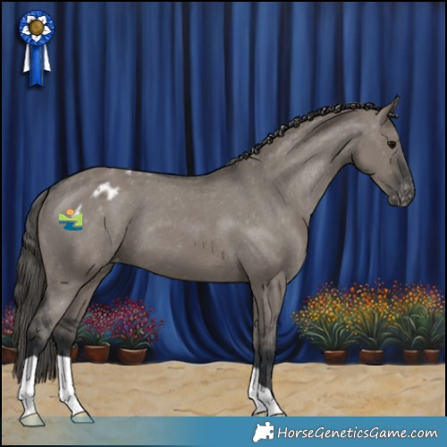 Horse Color:Grullo Varnish 