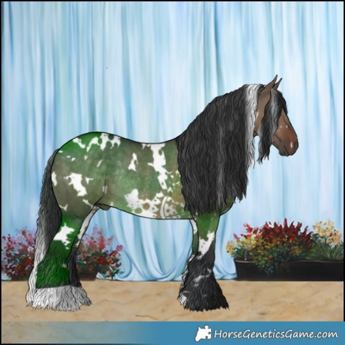 Horse Color:White Spotted Brown Dun Rabicano 
