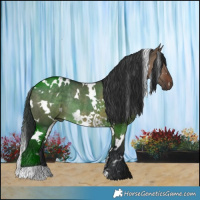 Horse Color:White Spotted Brown Dun Rabicano 