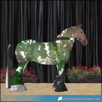 Horse Color:White Spotted Brown Dun Rabicano 