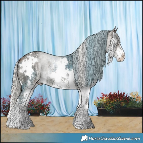 Horse Color:White Spotted Silver Brown Ice Dun 