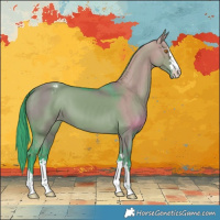 Horse Color:Watercolor Grullo Appaloosa